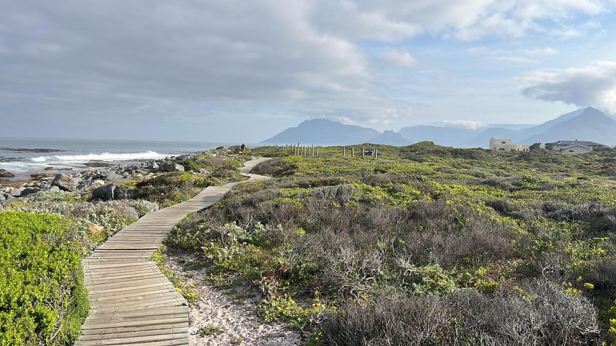 Storyhouse In Kommetjie Extérieur photo